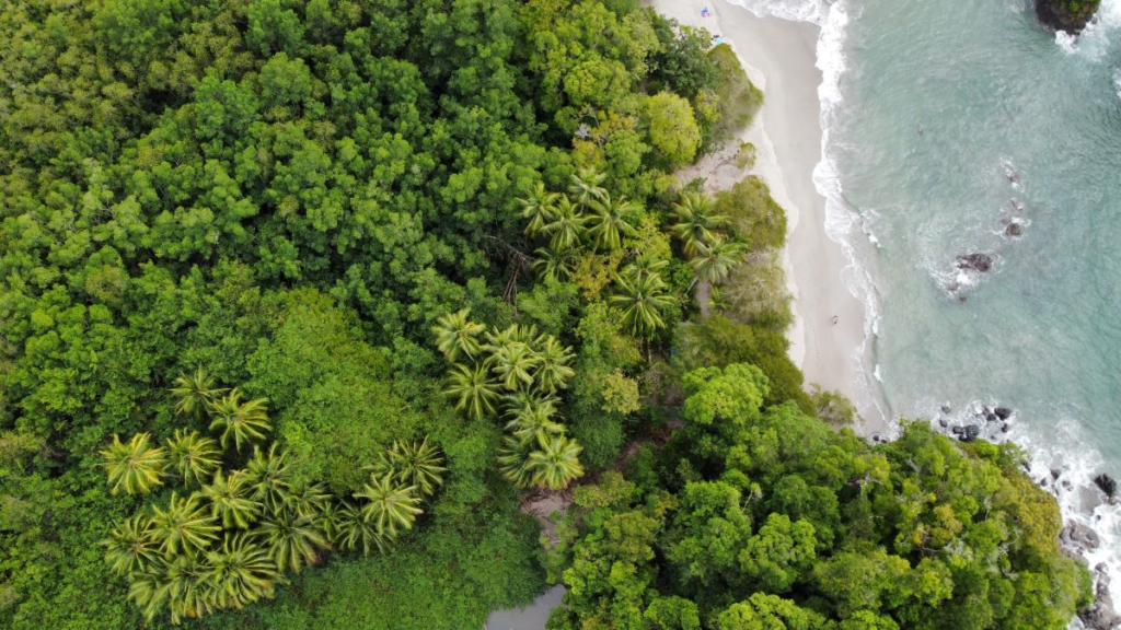 Manuel Antonio, Quepos