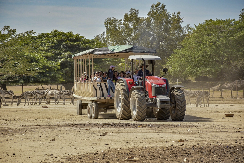 Ponderosa Adventure Park - Pura Vida Package